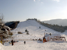 POLTURIZM MAKOWICA       ҳ